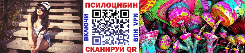 дарнет шоп  Каменск-Шахтинский  kraken tor  Псилоцибиновые грибы Psilocybe 